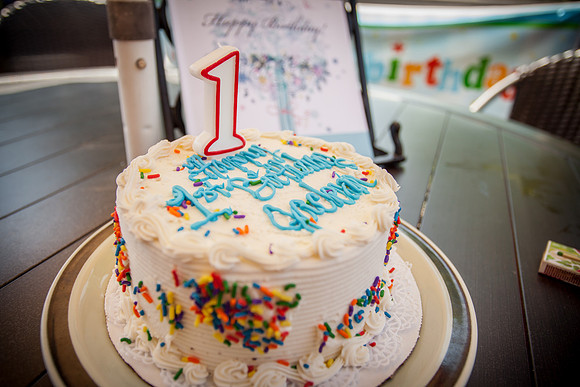 Baby Jackson 1st Birthday 2015-156