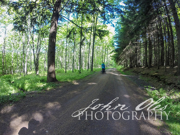 summer at the cabin-141