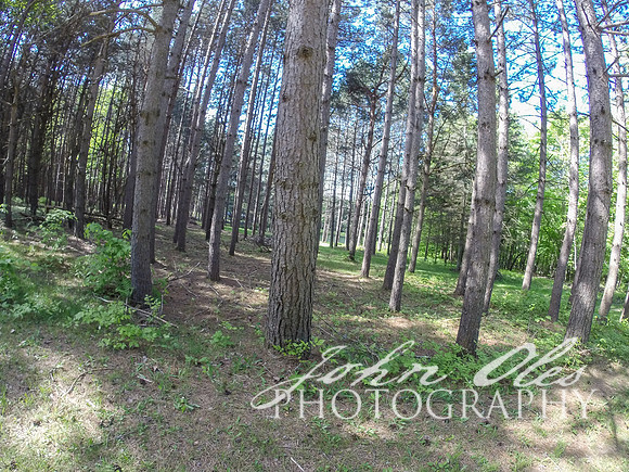 summer at the cabin-147