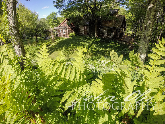 summer at the cabin-122