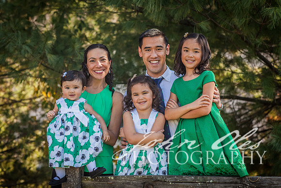 20161119-The Lee Family 2016 B-4
