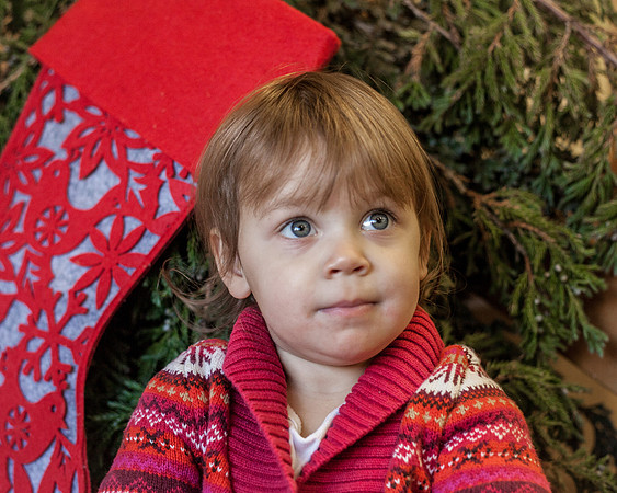 NPCCC Holiday Portraits 2015-177