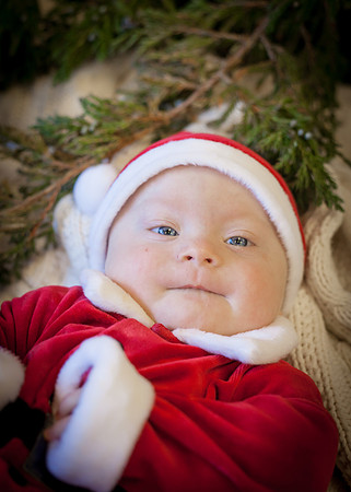 NPCCC Holiday Portraits 2015-120