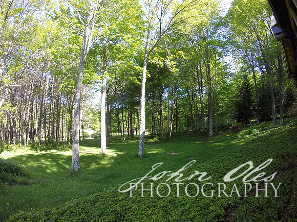 summer at the cabin-