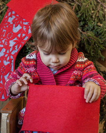 NPCCC Holiday Portraits 2015-179