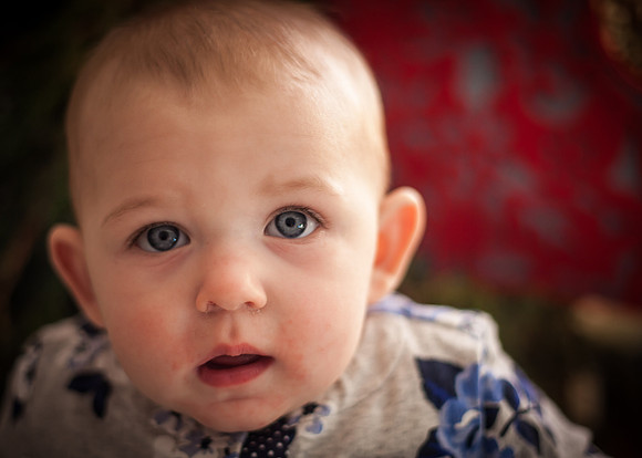 NPCCC Holiday Portraits 2015-228