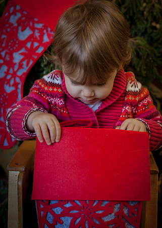 NPCCC Holiday Portraits 2015-86
