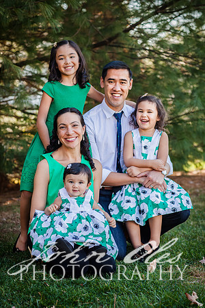 20161119-The Lee Family 2016 c-2