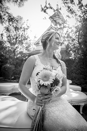 Jewel & Alex 2017-264