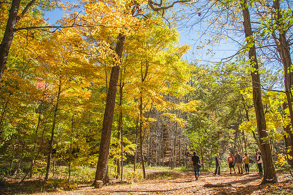 Fall in New Paltz -331