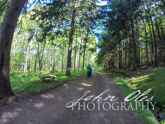 summer at the cabin-138