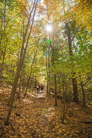 Fall in New Paltz -329