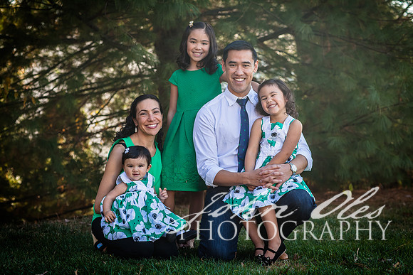 20161119-The Lee Family 2016 c-1