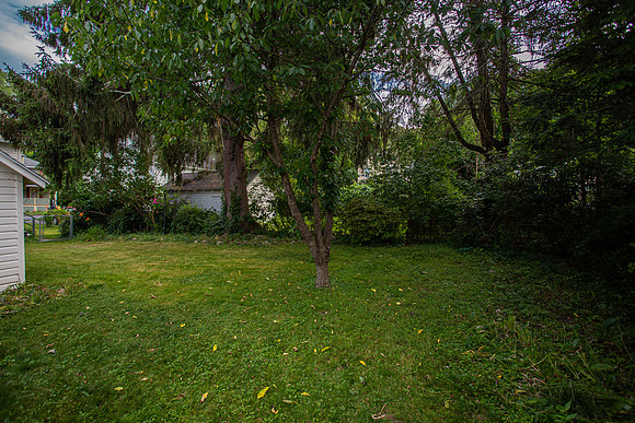 20190702-57 Elizabeth St.-60