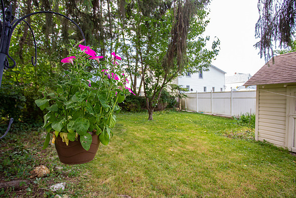20190702-57 Elizabeth St.-63