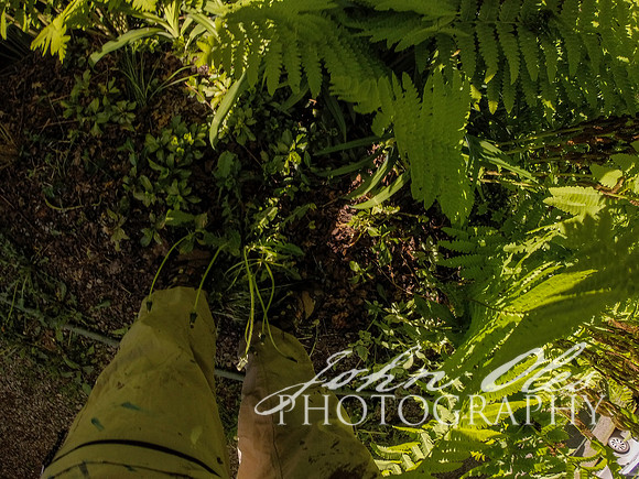 summer at the cabin-133