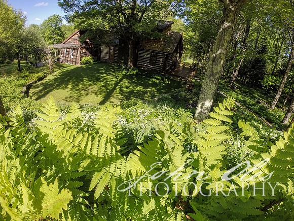 summer at the cabin-115