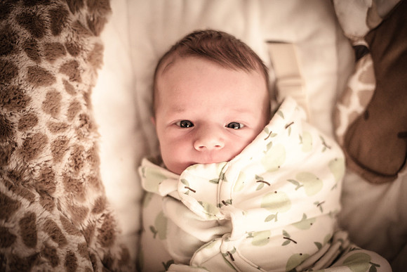 Little Jackson-262