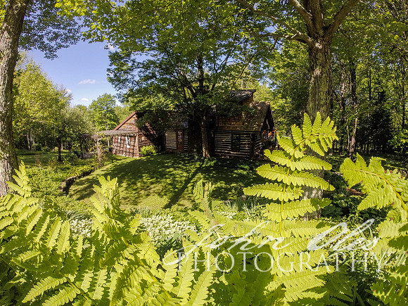 summer at the cabin-127