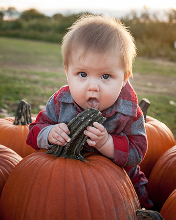 Alyce and Jeff Fall 2014-331