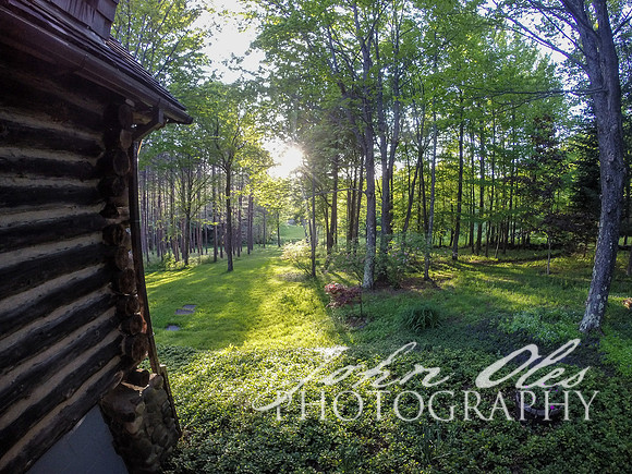 summer at the cabin-215
