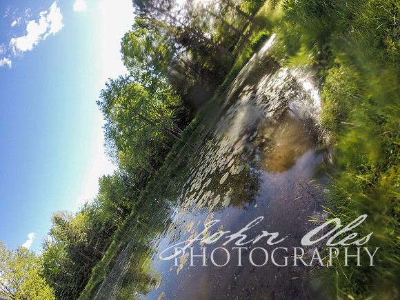 summer at the cabin-181
