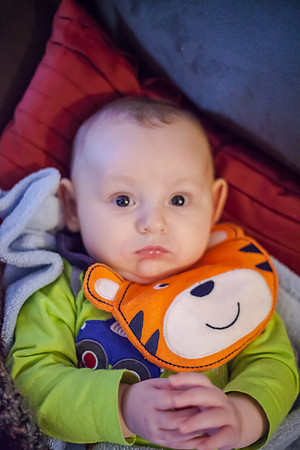 Noah-2-2
