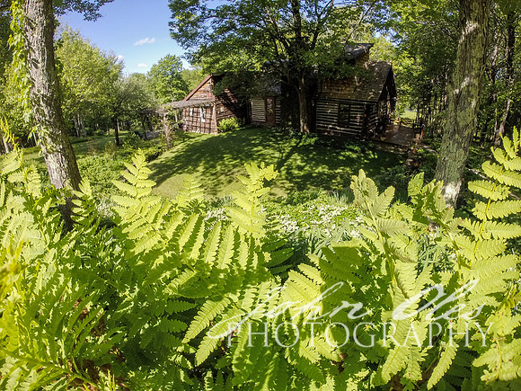 summer at the cabin-123