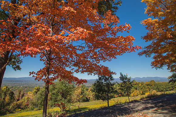 Fall in New Paltz -322