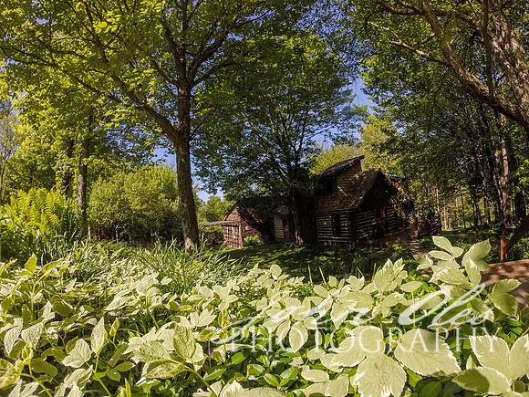 summer at the cabin-48