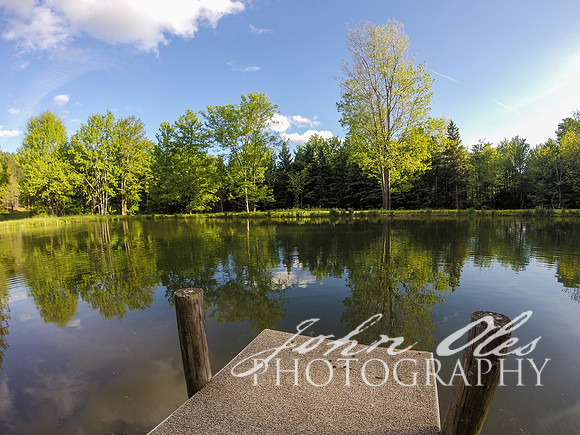 summer at the cabin-202